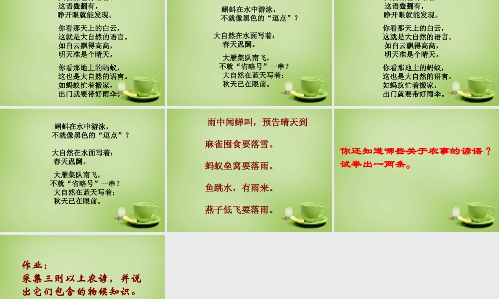 八年级语文上册16(大自然的语言)课件2 新人教版 课件