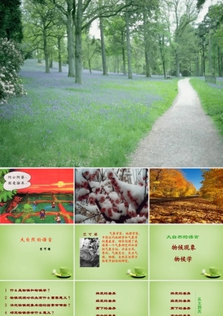 八年级语文上册16(大自然的语言)课件2 新人教版 课件