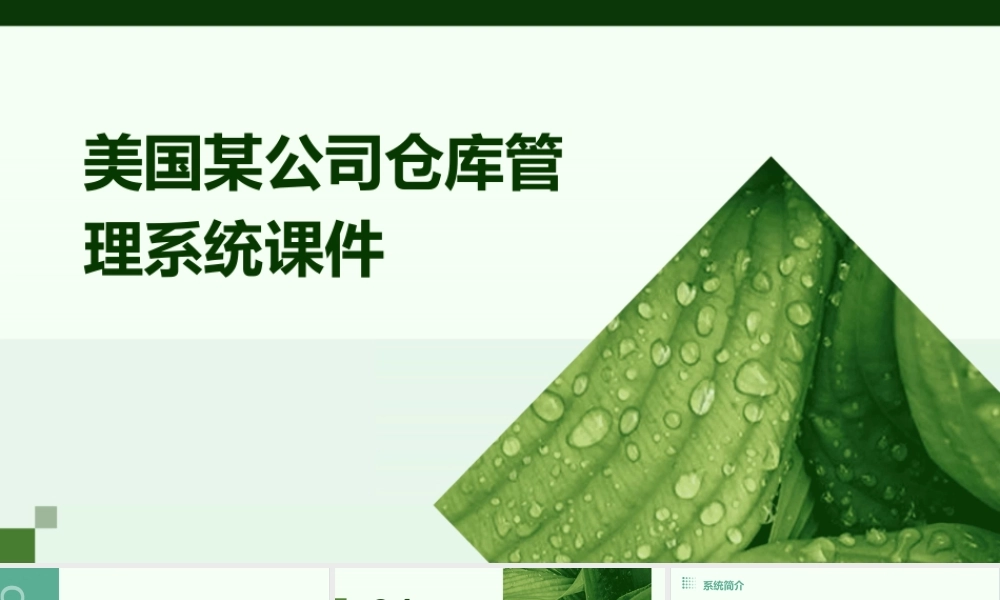 美国某公司仓库管理系统课件