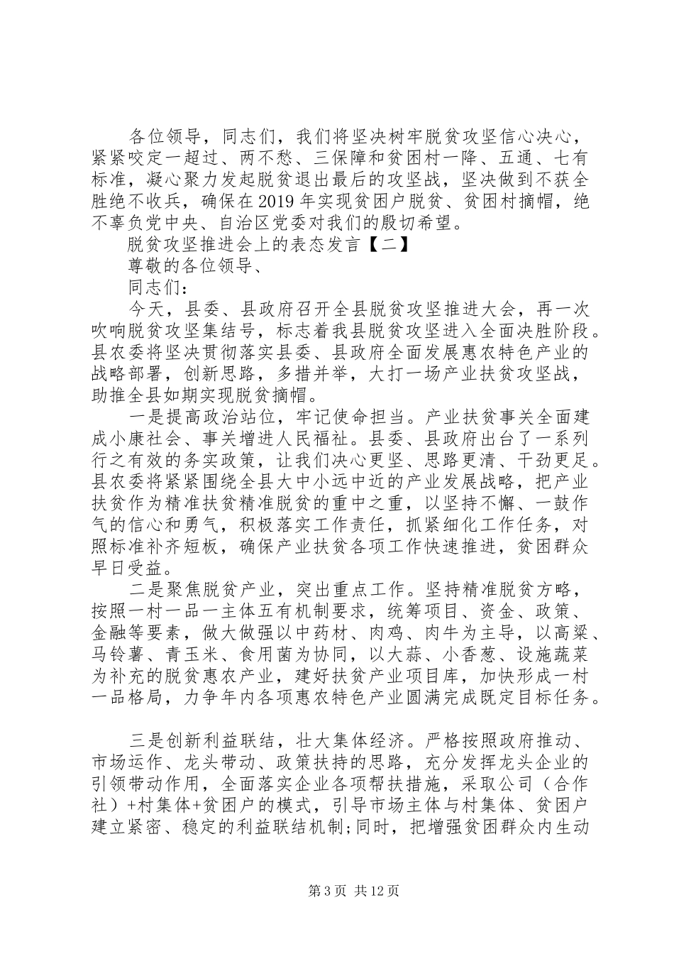 脱贫攻坚工作推进会表态发言_第3页