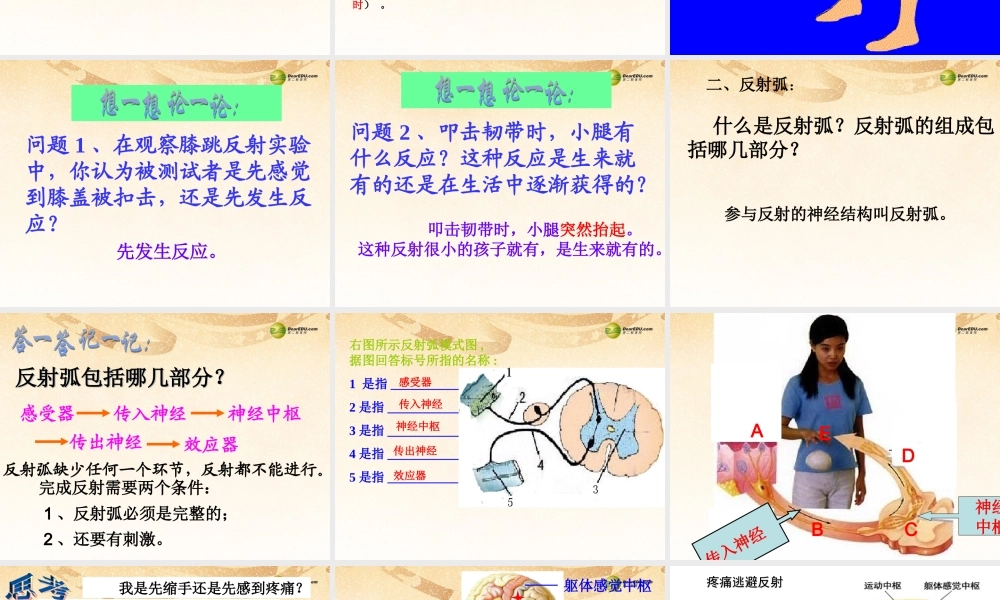 八年级生物下册 第六章 神经调节的基本方式配套课件 鲁科版 课件