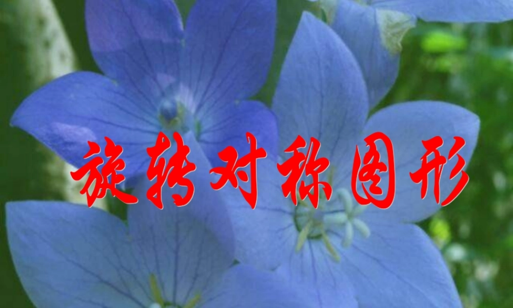 八年级数学旋转对称图形课件 华师版 课件