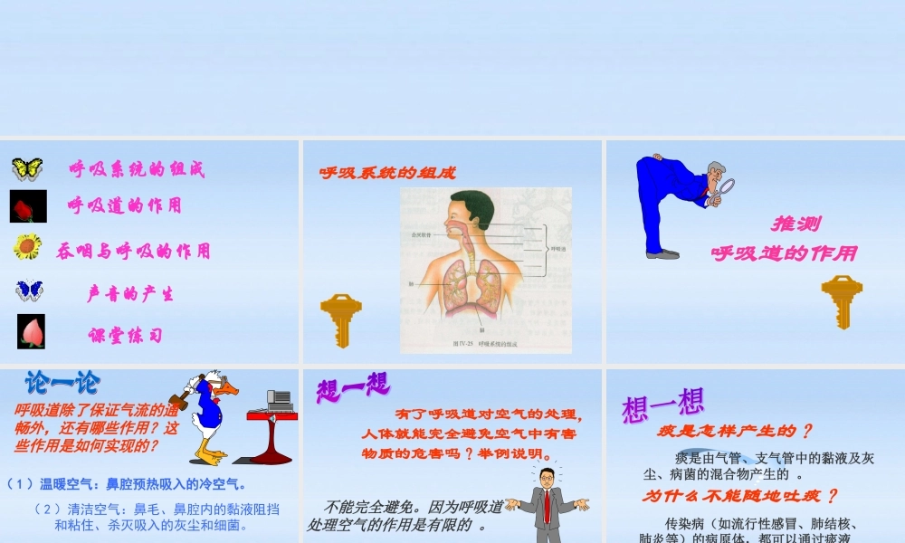 七年级生物下册 呼吸道对空气的处理新课件 人教新课标版 课件