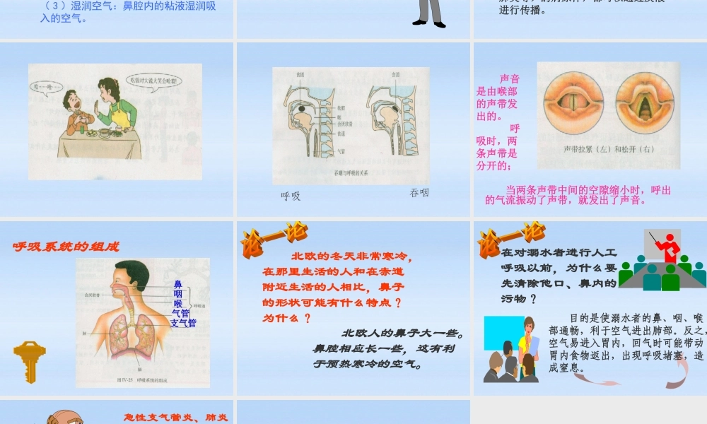 七年级生物下册 呼吸道对空气的处理新课件 人教新课标版 课件