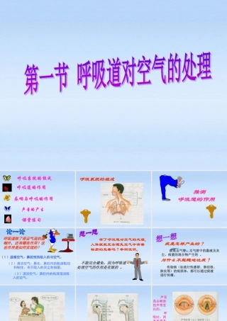 七年级生物下册 呼吸道对空气的处理新课件 人教新课标版 课件