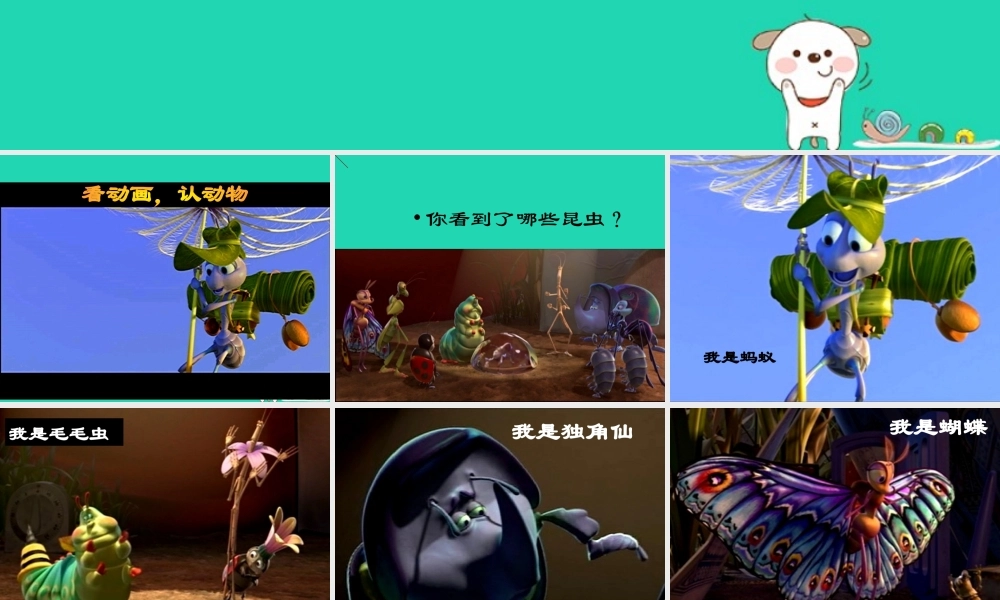 七年级生物上册 2.2.1(无脊椎动物的主要类群)资料拓展：认识节肢动物素材 (新版)济南版 素材