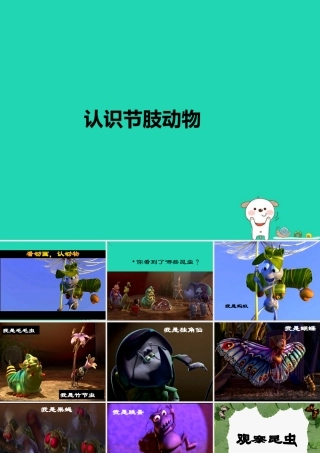 七年级生物上册 2.2.1(无脊椎动物的主要类群)资料拓展：认识节肢动物素材 (新版)济南版 素材