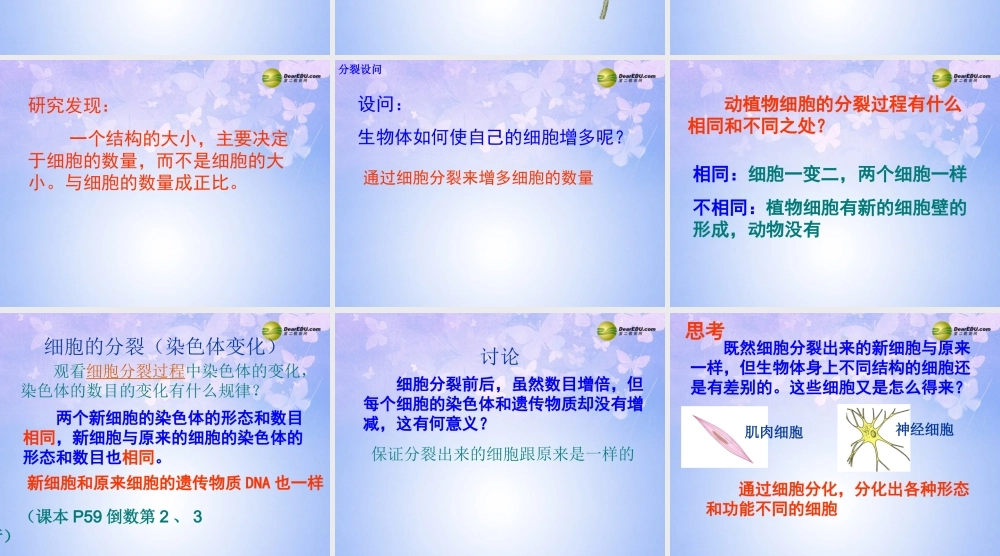 中学七年级生物上册 细胞通过分裂产生新细胞课件 新人教版 课件