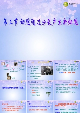 中学七年级生物上册 细胞通过分裂产生新细胞课件 新人教版 课件