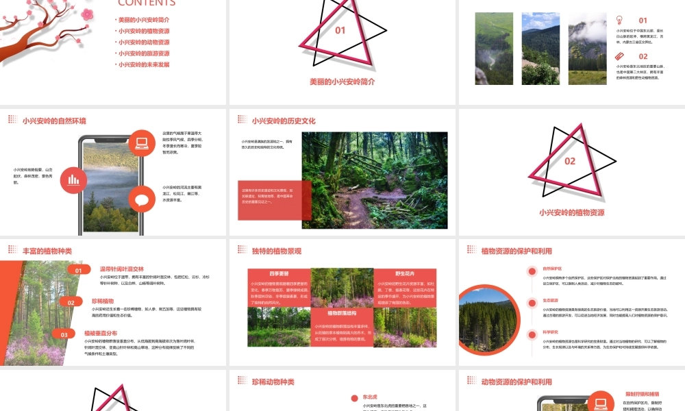 美丽的小兴安岭教学课件