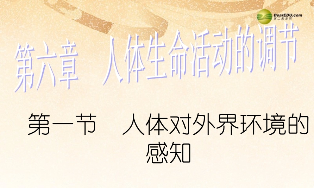 八年级生物下册 第六章 人体对外界环境的感知课件 鲁科版 课件