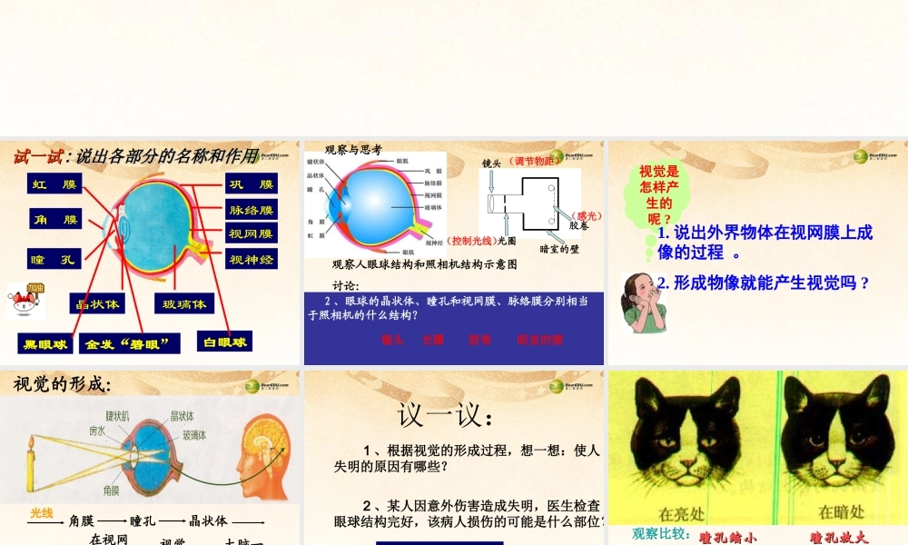 八年级生物下册 第六章 人体对外界环境的感知课件 鲁科版 课件