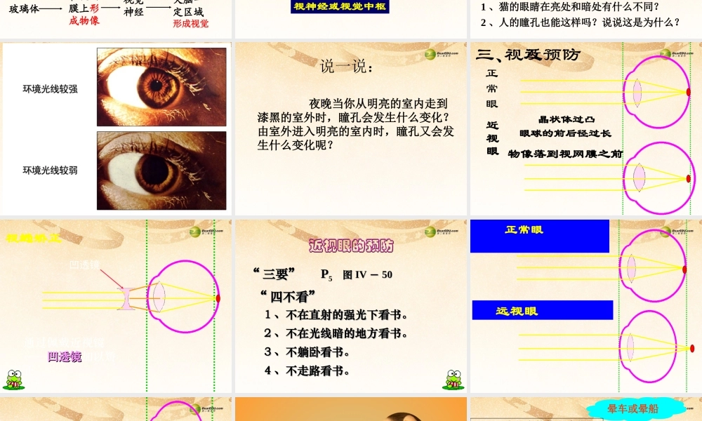 八年级生物下册 第六章 人体对外界环境的感知课件 鲁科版 课件