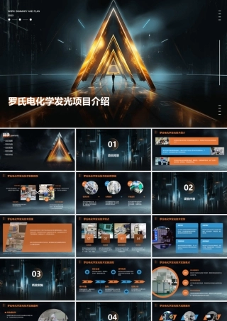 罗氏电化学发光项目介绍课件