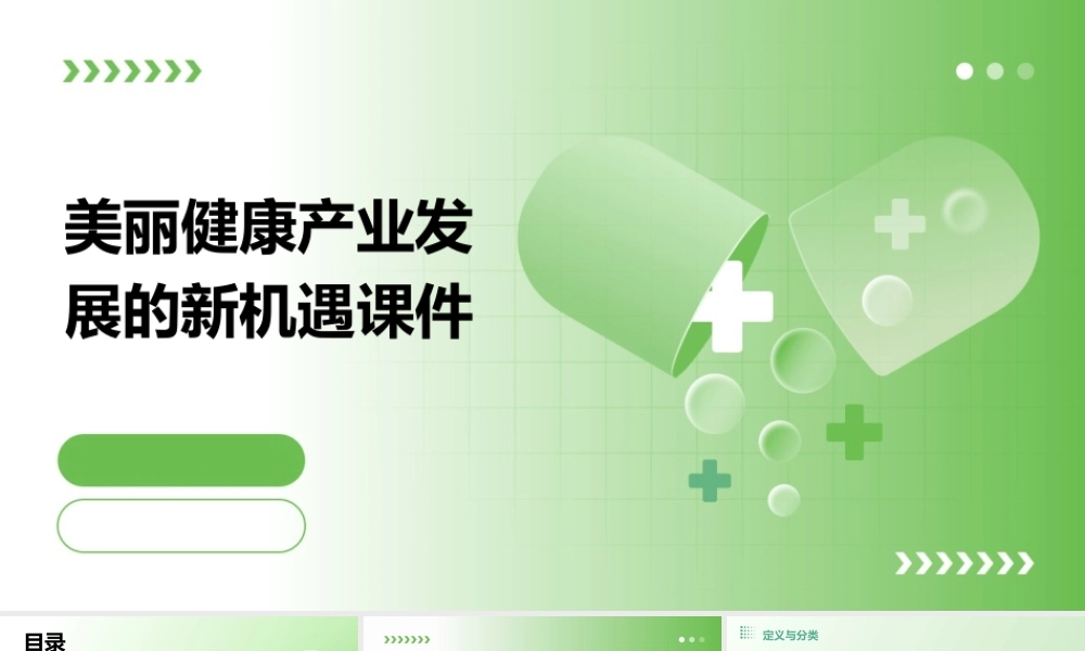 美丽健康产业发展的新机遇课件