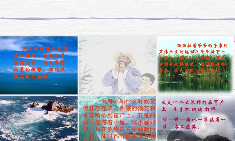 《爷爷的芦笛》教学课件(1)