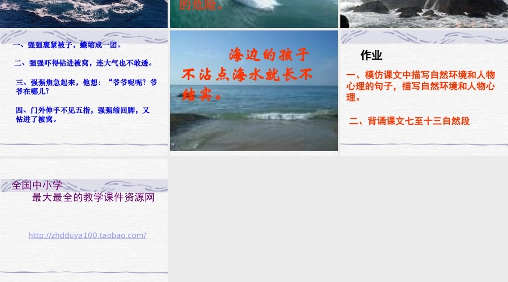 《爷爷的芦笛》教学课件(1)