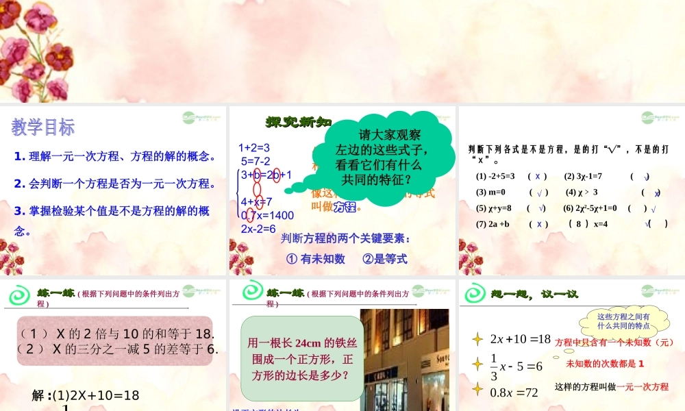 广东省珠海市七年级数学上册 从算式到方程课件 新人教版 课件