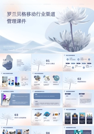 罗兰贝格移动行业渠道管理课件