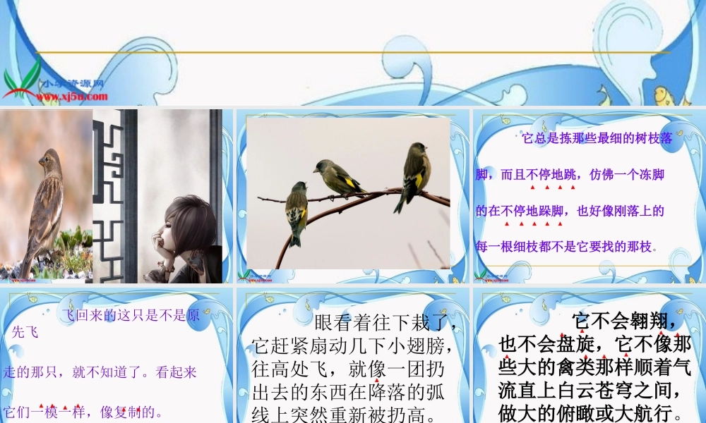 隔窗看雀1-副本