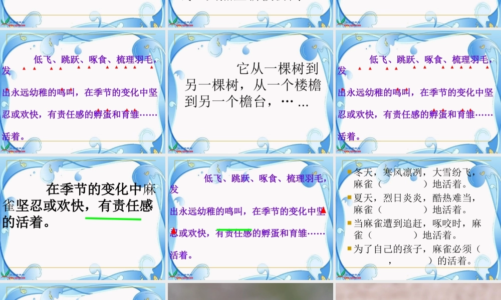 隔窗看雀1-副本