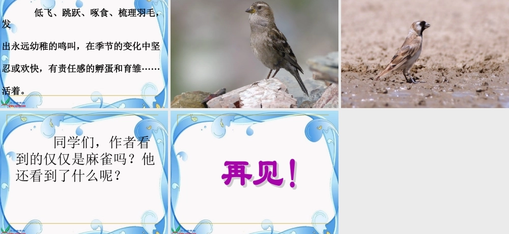 隔窗看雀1-副本