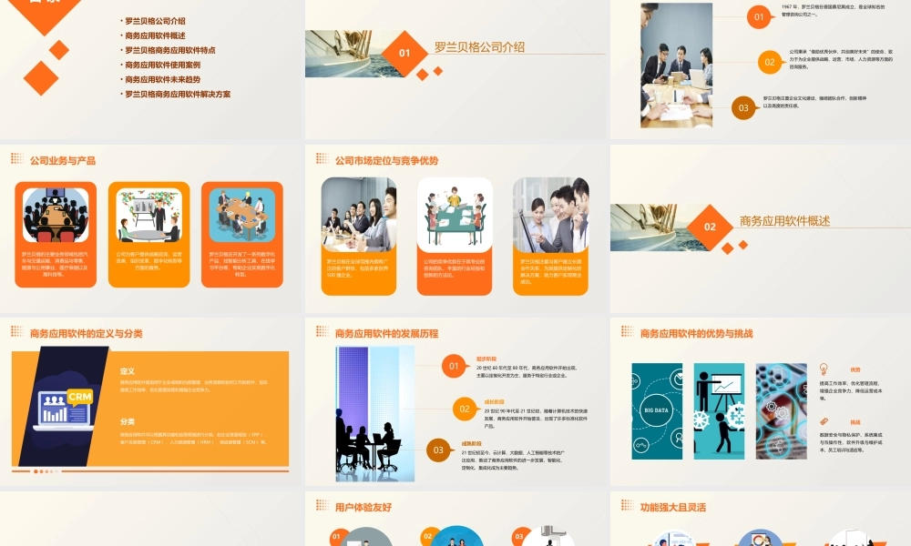罗兰贝格商务应用课件
