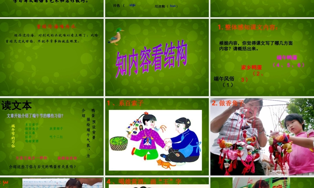 中学八年级语文下册 17 端午的鸭蛋课件 新人教版 课件