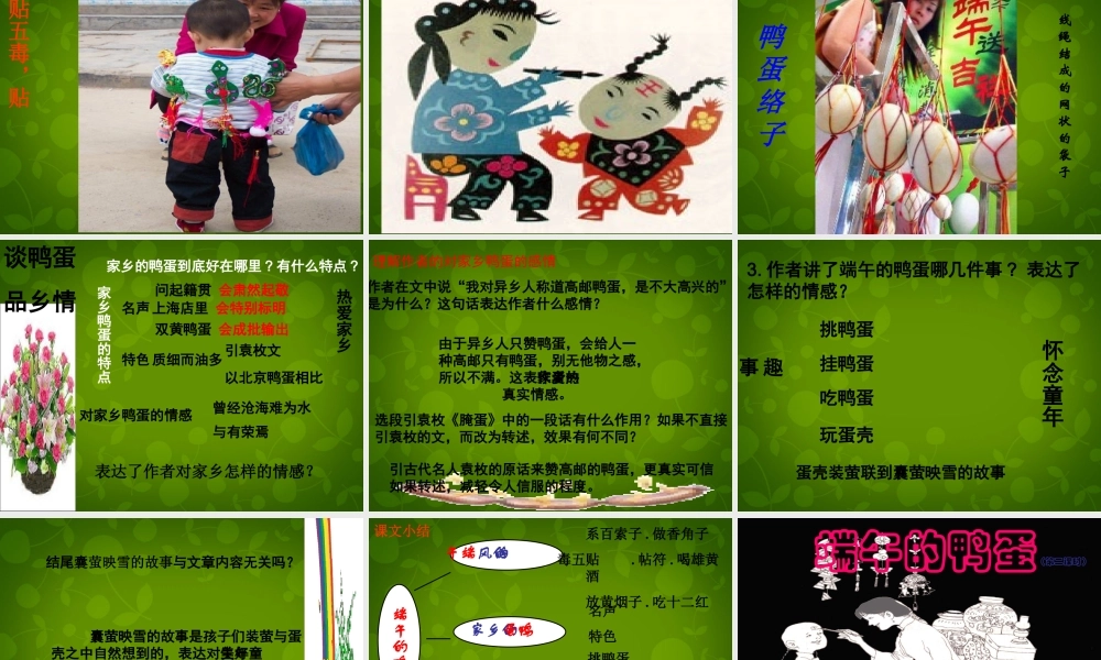 中学八年级语文下册 17 端午的鸭蛋课件 新人教版 课件