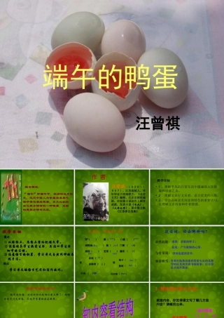 中学八年级语文下册 17 端午的鸭蛋课件 新人教版 课件