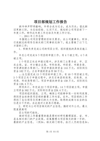 项目部规划工作报告