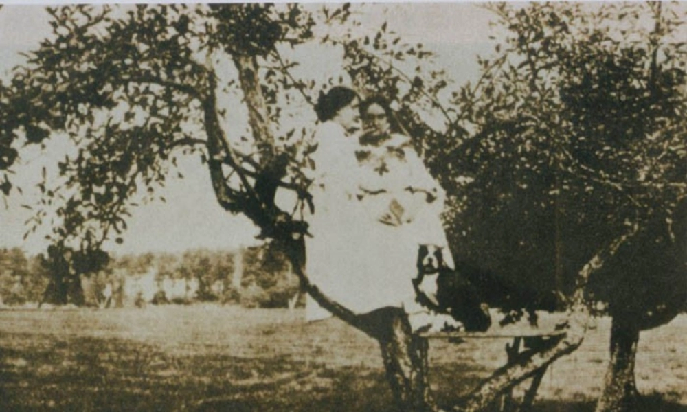 中学七年级语文上册 第7课 再塑生命的人课件 (新版)新人教版 课件