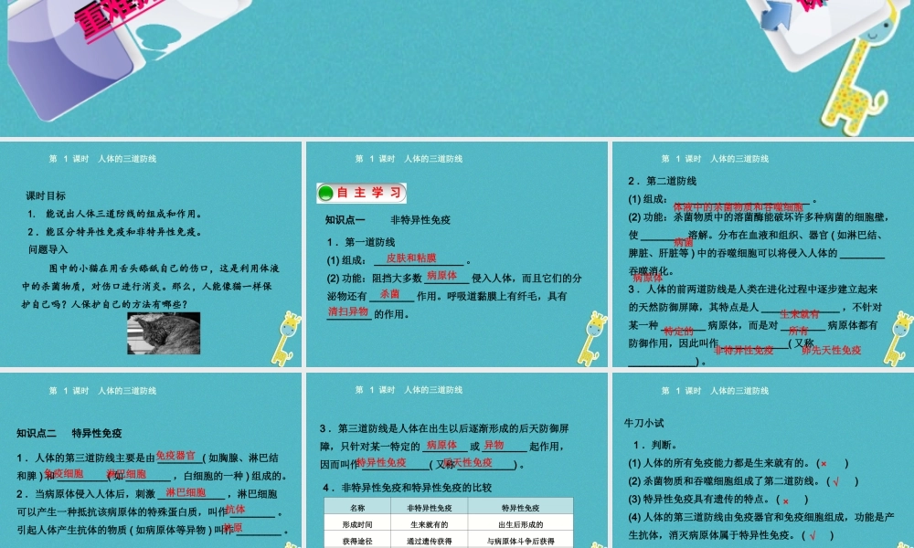 八年级生物下册 8.1.2免疫与计划免疫第1课时人体的三道防线课件 (新版)新人教版 课件