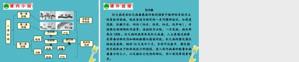 八年级生物下册 8.1.2免疫与计划免疫第1课时人体的三道防线课件 (新版)新人教版 课件