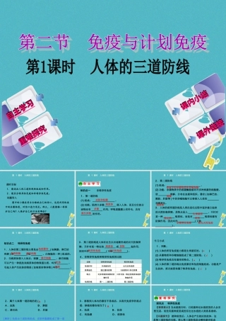 八年级生物下册 8.1.2免疫与计划免疫第1课时人体的三道防线课件 (新版)新人教版 课件