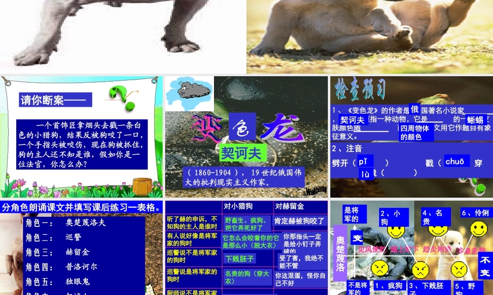 九年级语文下册第七课课件示例 人教版 课件