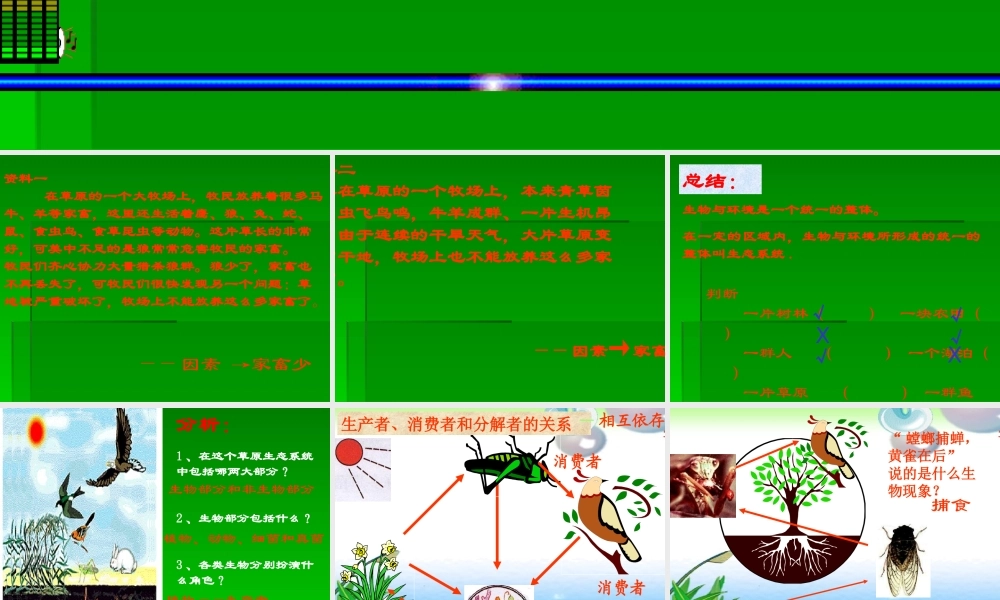 七年级生物生态系统课件 新课标 人教版 课件