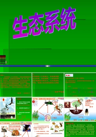 七年级生物生态系统课件 新课标 人教版 课件