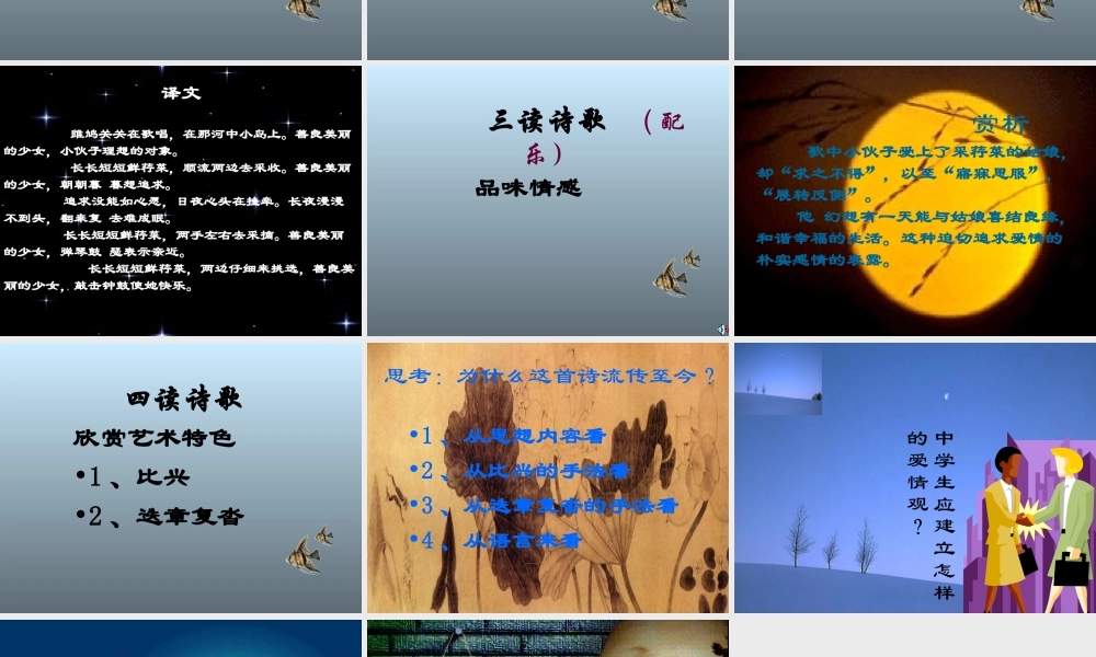 九年级语文下册 (关雎 )教学课件 人教新课标版 课件