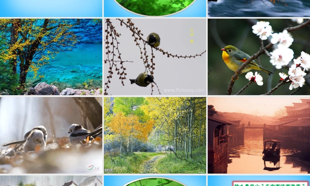 七年级语文上册 第二单元 第8课(空山鸟语)课件 鄂教版 课件