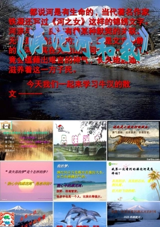 七年级语文上册(滹沱河和我)课件 上海五四制版 课件
