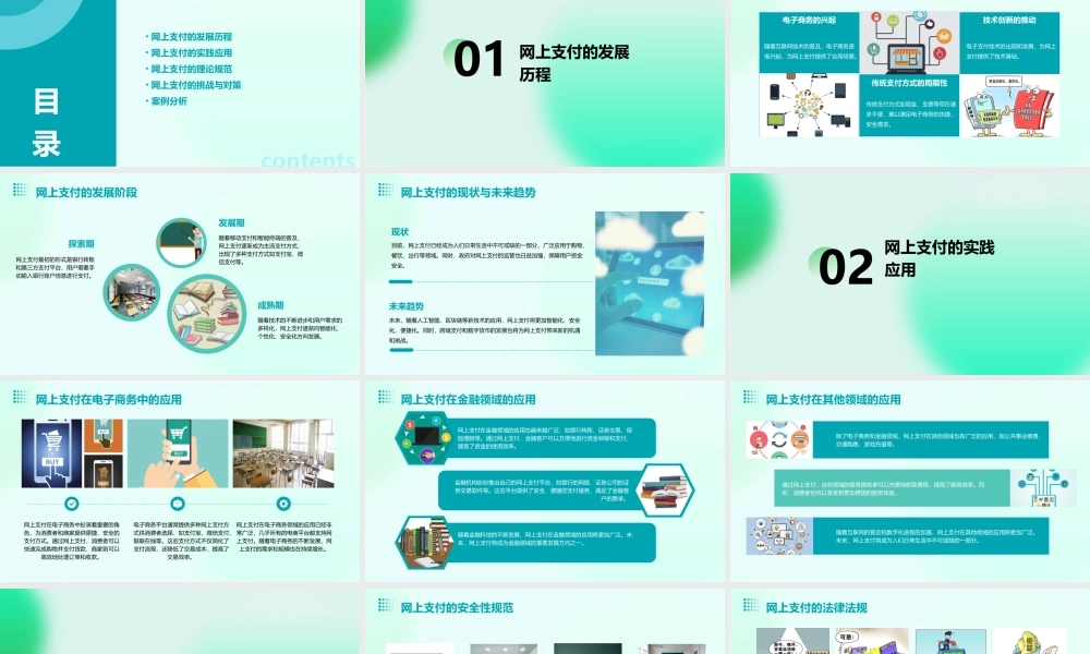 网上支付从实践先导到理论规范(湖南师范大学数计学院吴拥政)课件