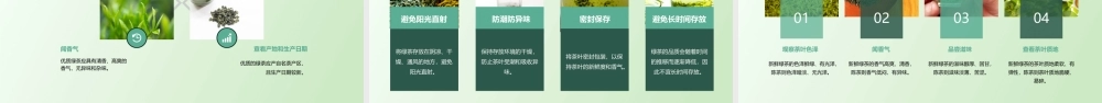 绿茶的冲泡技艺课件