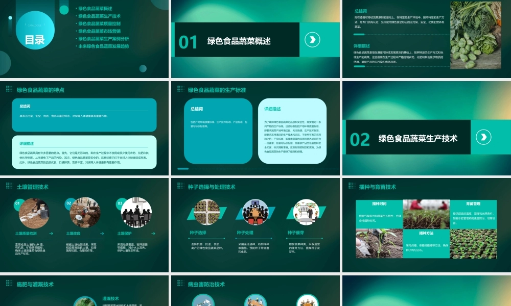 绿色食品蔬菜生产技术培训教材课件