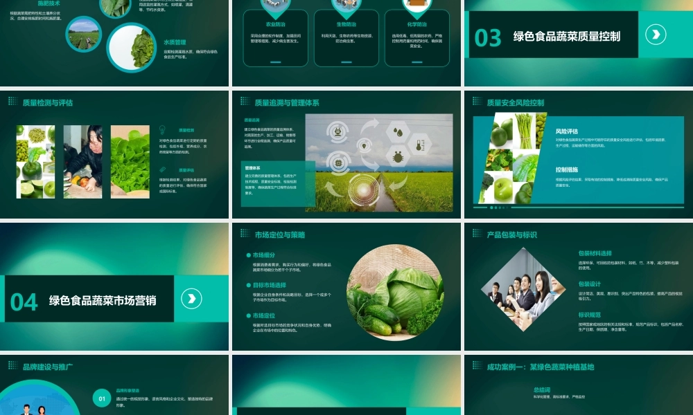 绿色食品蔬菜生产技术培训教材课件