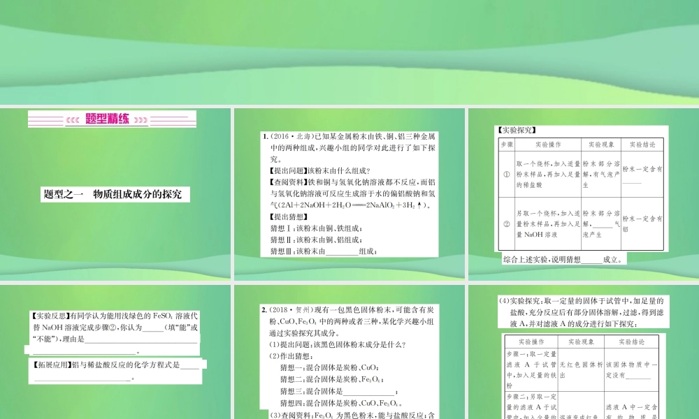 中考化学总复习 中考6大题型轻松搞定 题型复习(四)实验探究题之一 物质组成成分的探究课件