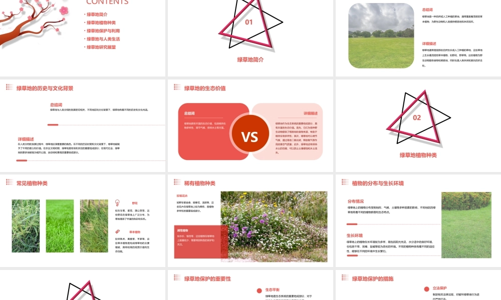 绿草地绿草地课件
