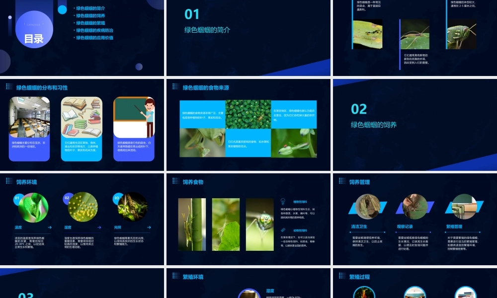 绿色蝈蝈公开课课件