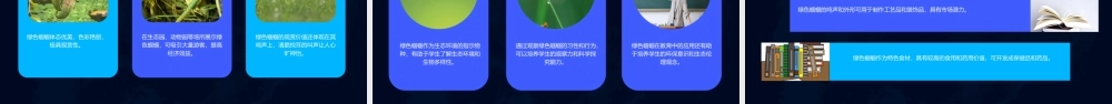 绿色蝈蝈公开课课件