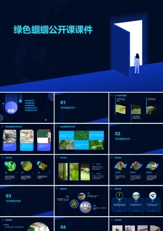 绿色蝈蝈公开课课件